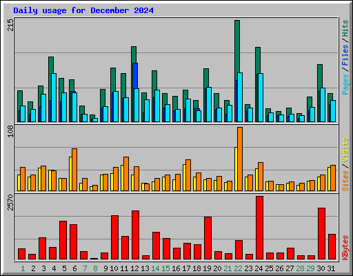 Daily usage for December 2024