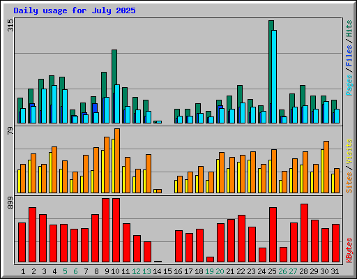 Daily usage for July 2025