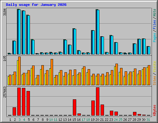 Daily usage for January 2026