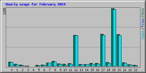 Hourly usage for February 2024