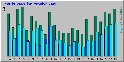 Hourly usage for November 2024