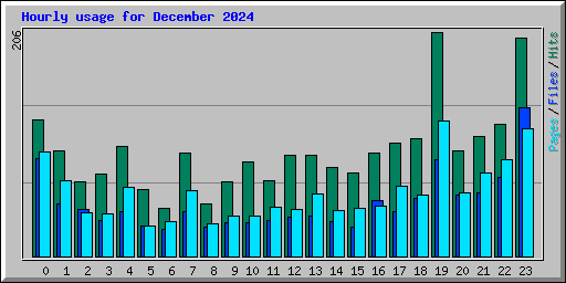Hourly usage for December 2024