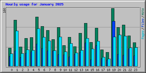 Hourly usage for January 2025