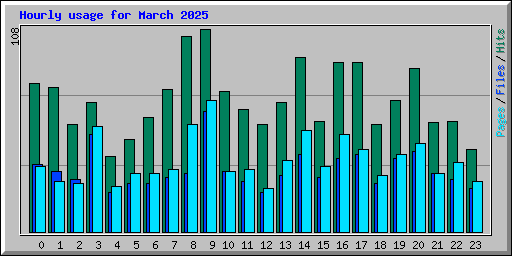 Hourly usage for March 2025