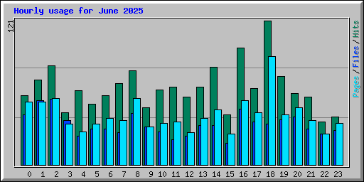 Hourly usage for June 2025