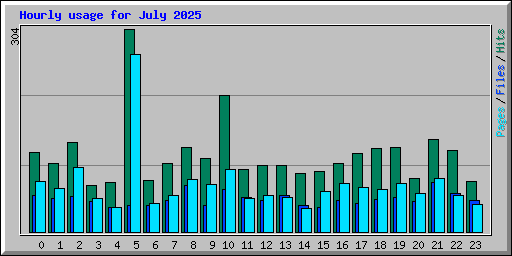 Hourly usage for July 2025