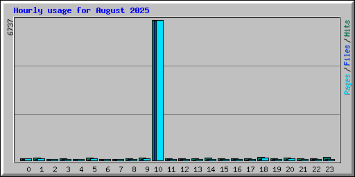Hourly usage for August 2025