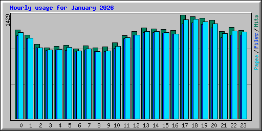 Hourly usage for January 2026