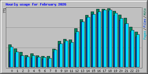 Hourly usage for February 2026